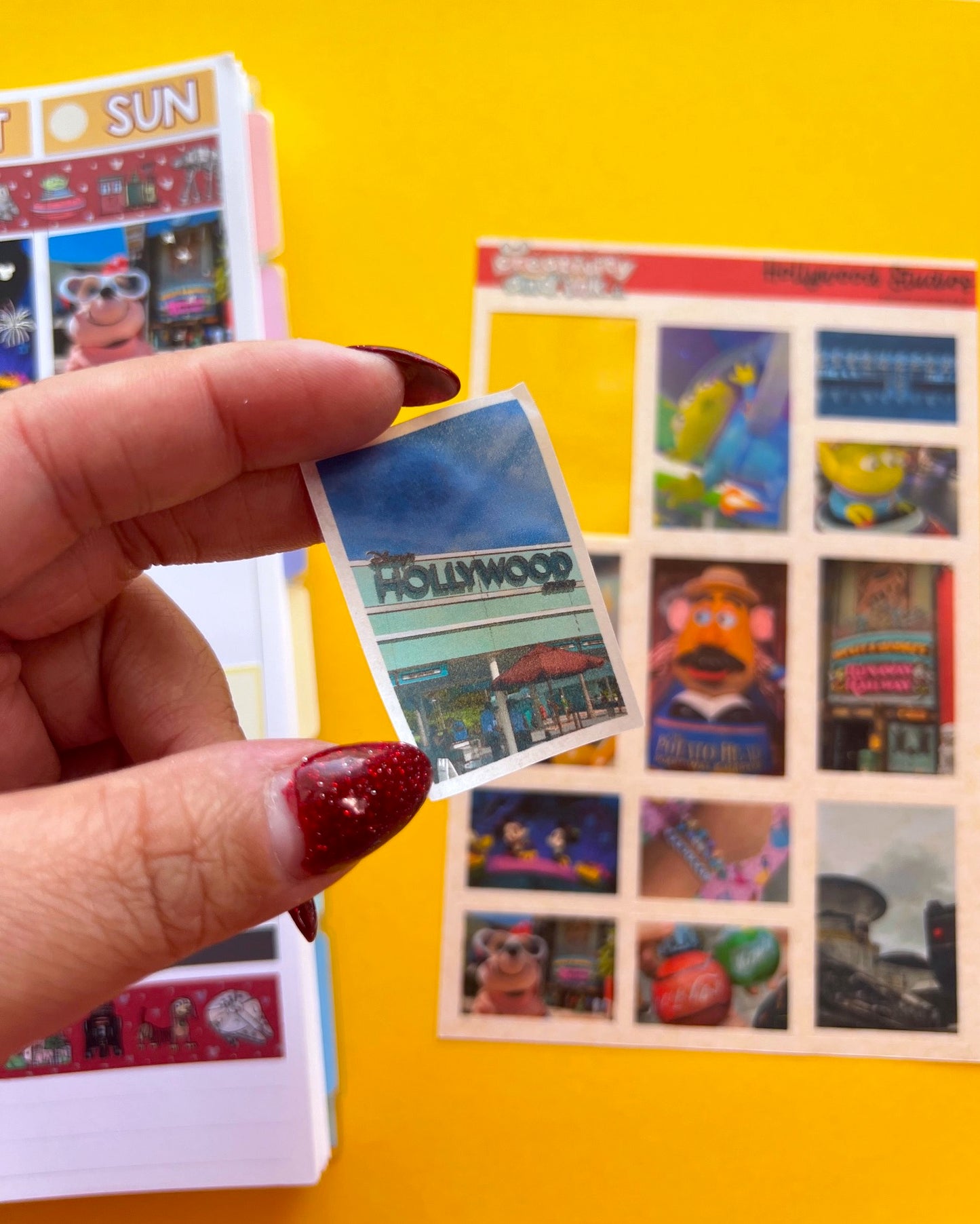 D-Land / DCA (Washi Paper) Photo Stickers