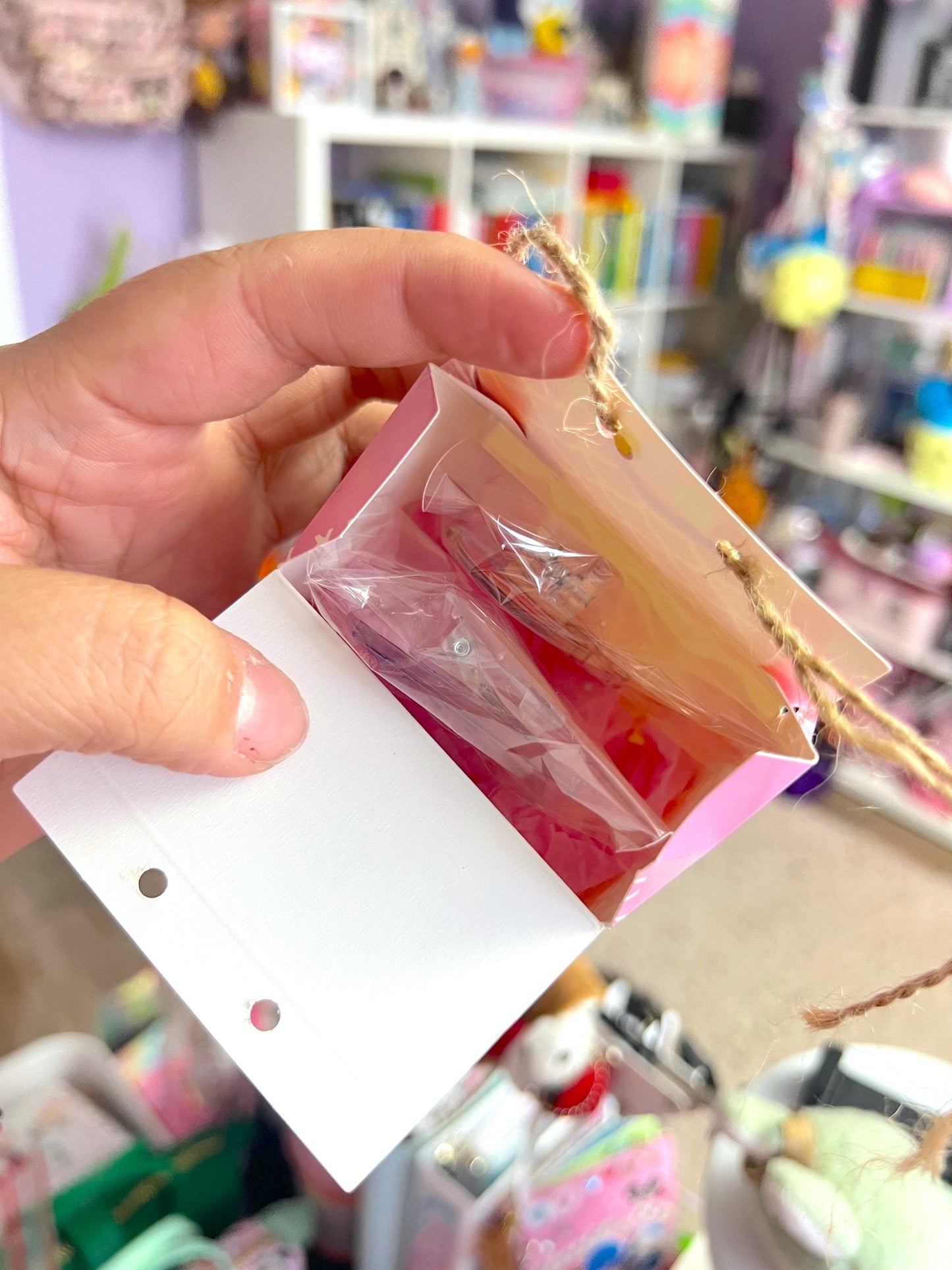 Holiday Acrylic Clip Blind Box (LIMITED)