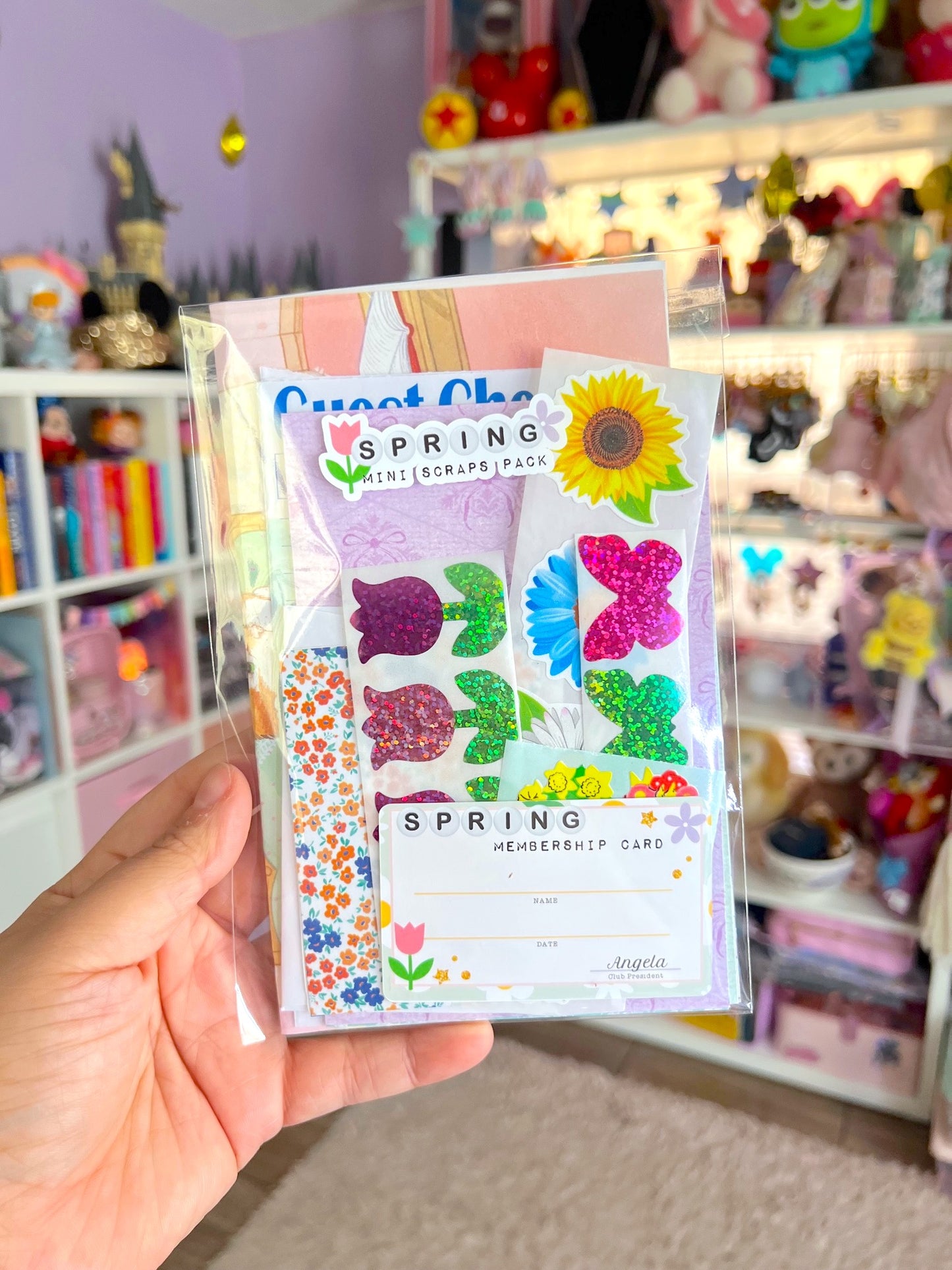 Pack of spring-themed stickers held in front of a colorful shelf.