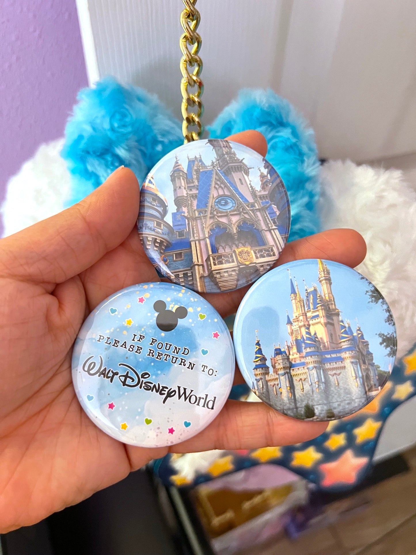WDW Park / Button PACK