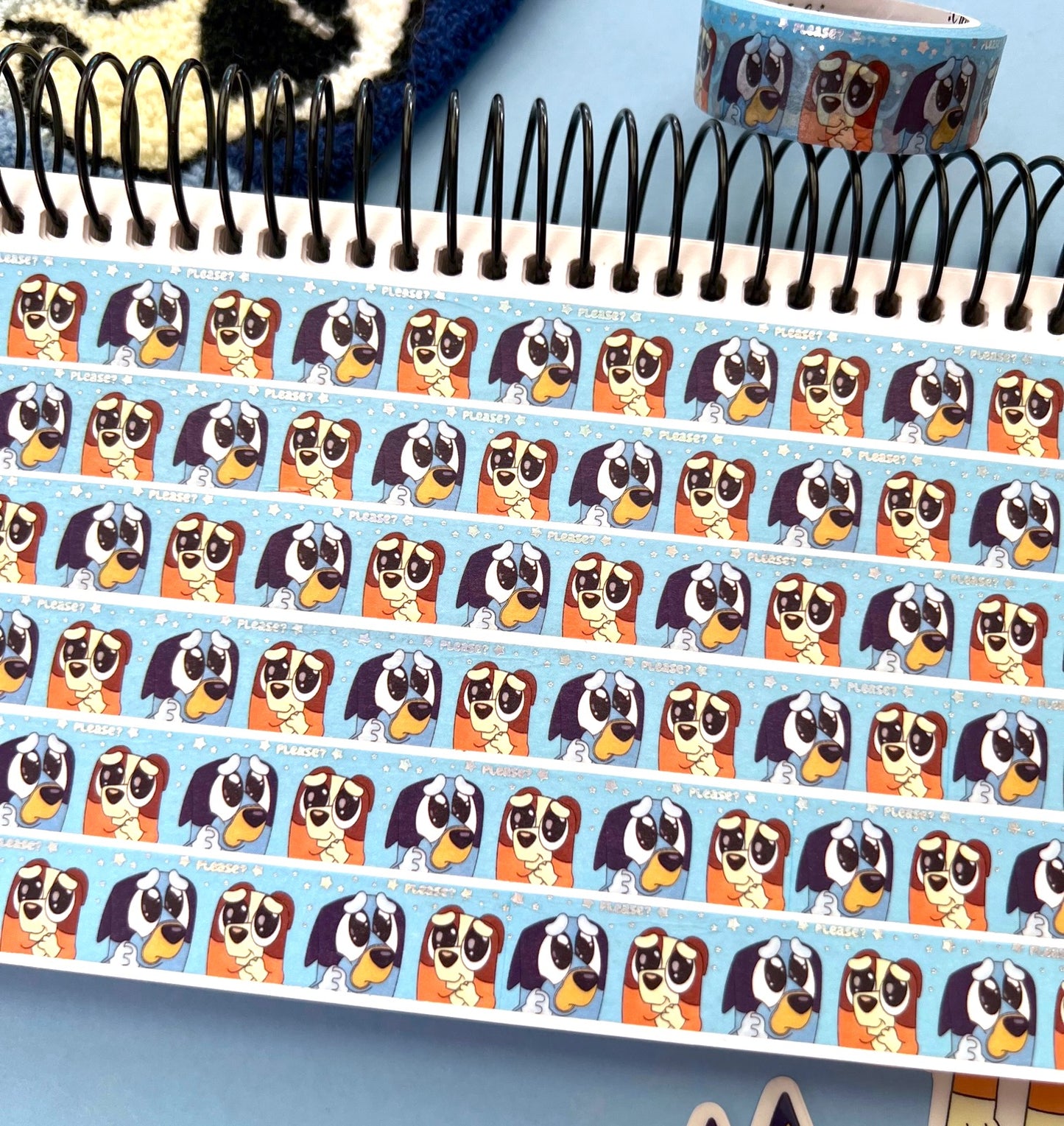 Pleaseeeee / Washi