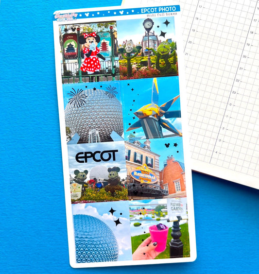 Epcot Photo / Mini Full Boxes